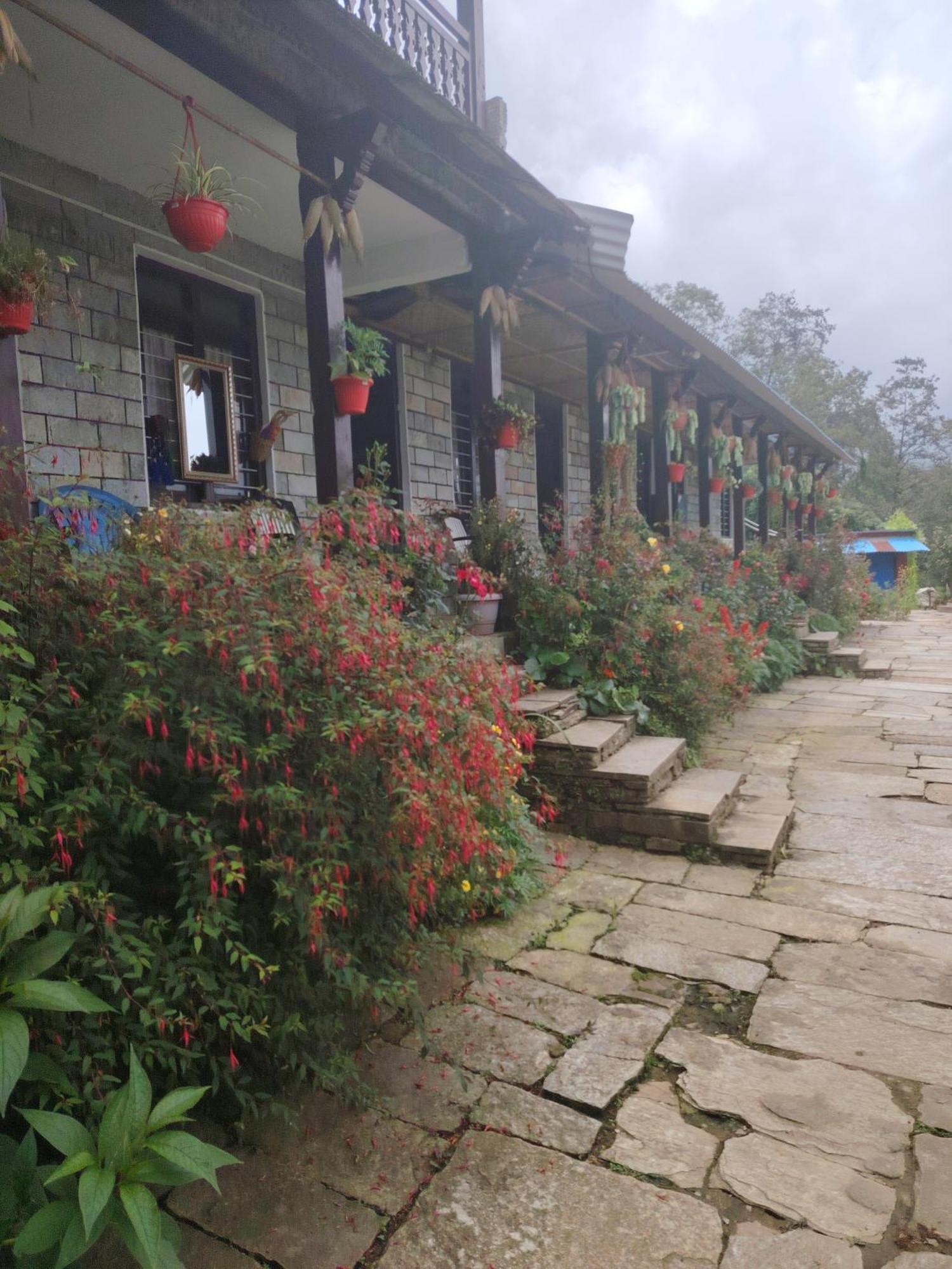 Panorama View Point Lodge And Restaurant, Annapurna-10, Ghandruk ,Agarju Astam Ngoại thất bức ảnh